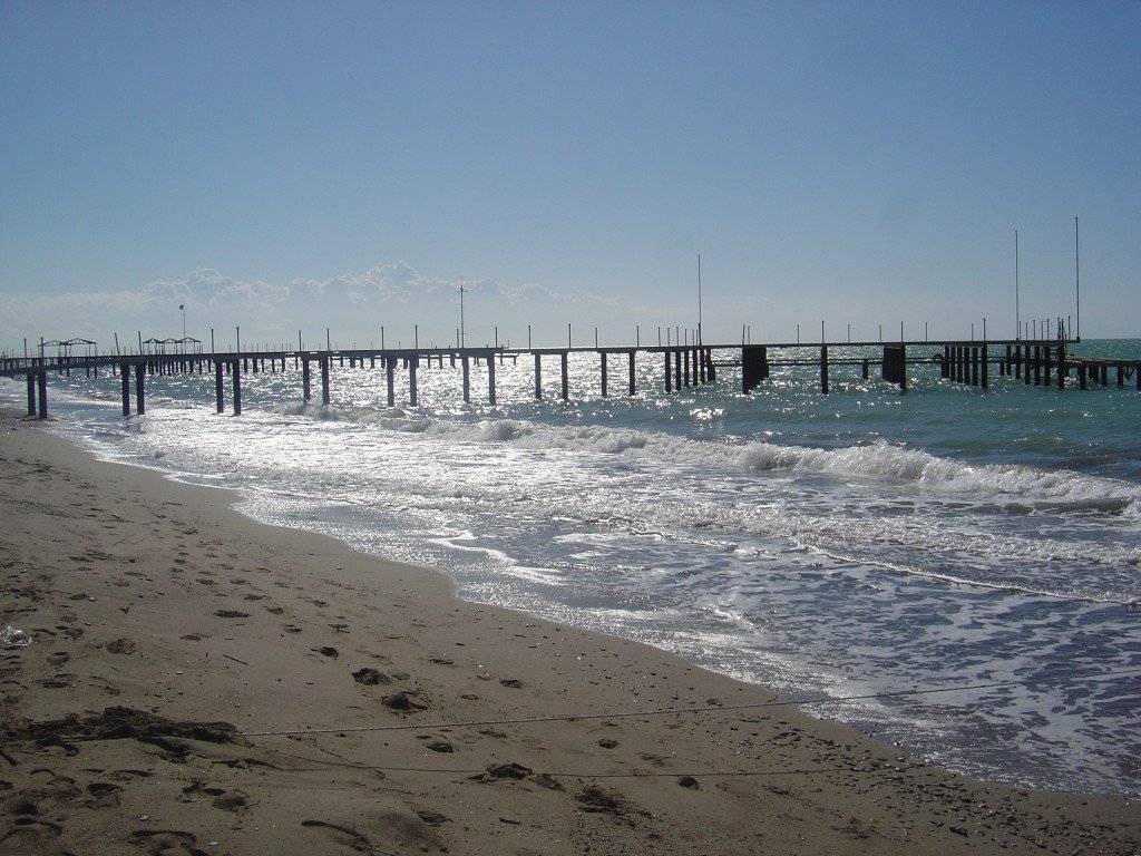 DSC00055.JPG