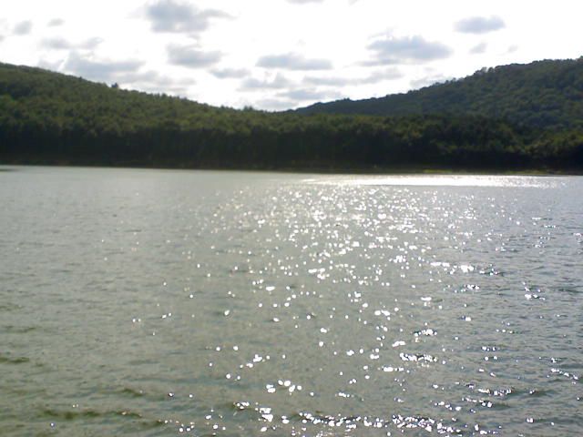 DSC00058.jpg
