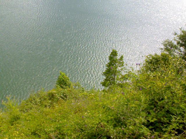 DSC00072.jpg