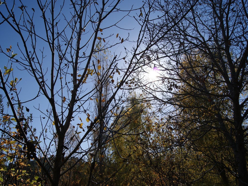 DSC00074.jpg