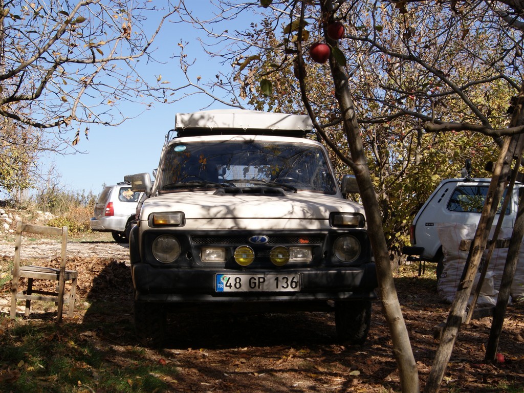 DSC00079.jpg