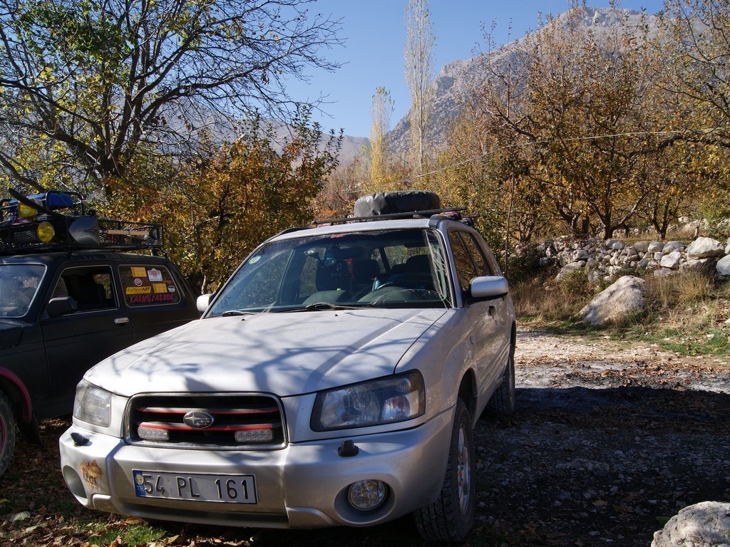 DSC00082.jpg