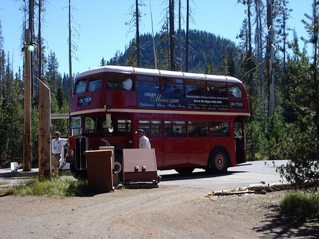 DSC00085.jpg