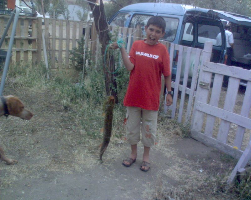 DSC00085.jpg