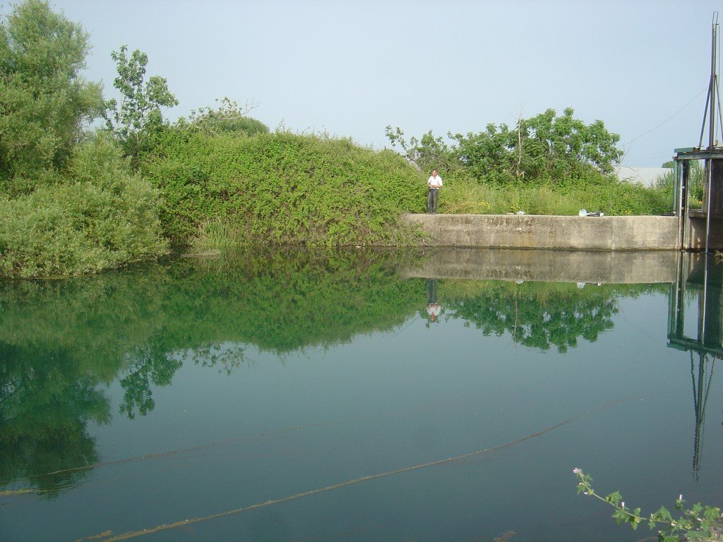 DSC00096.JPG