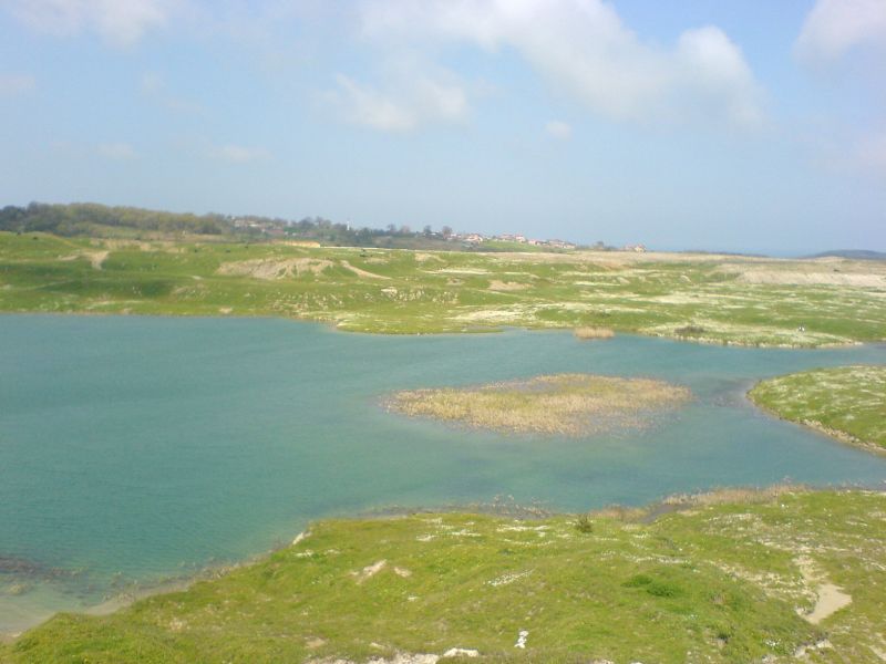 DSC00115.jpg