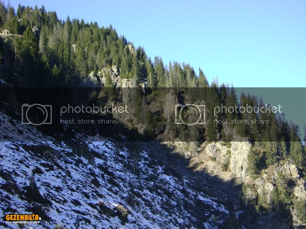 DSC00115.jpg