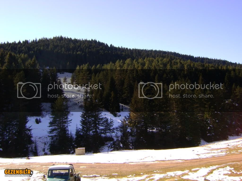 DSC00118.jpg
