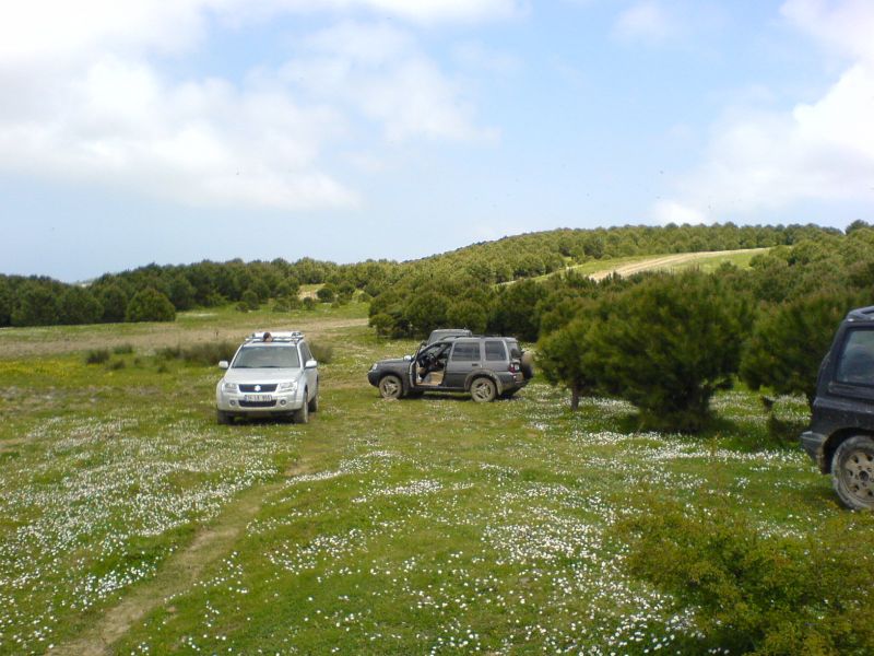 DSC00169.jpg