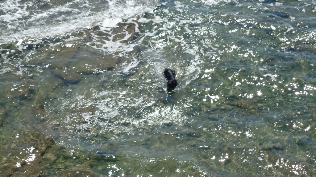 DSC00198.JPG