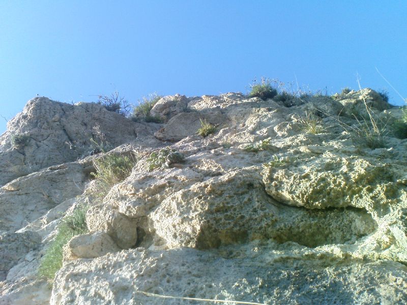 DSC00205.jpg