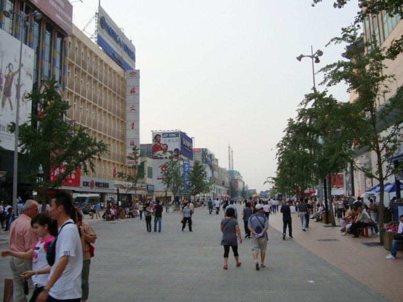 DSC00216.jpg