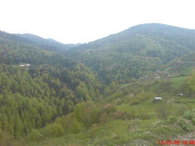 dsc00252g.jpg