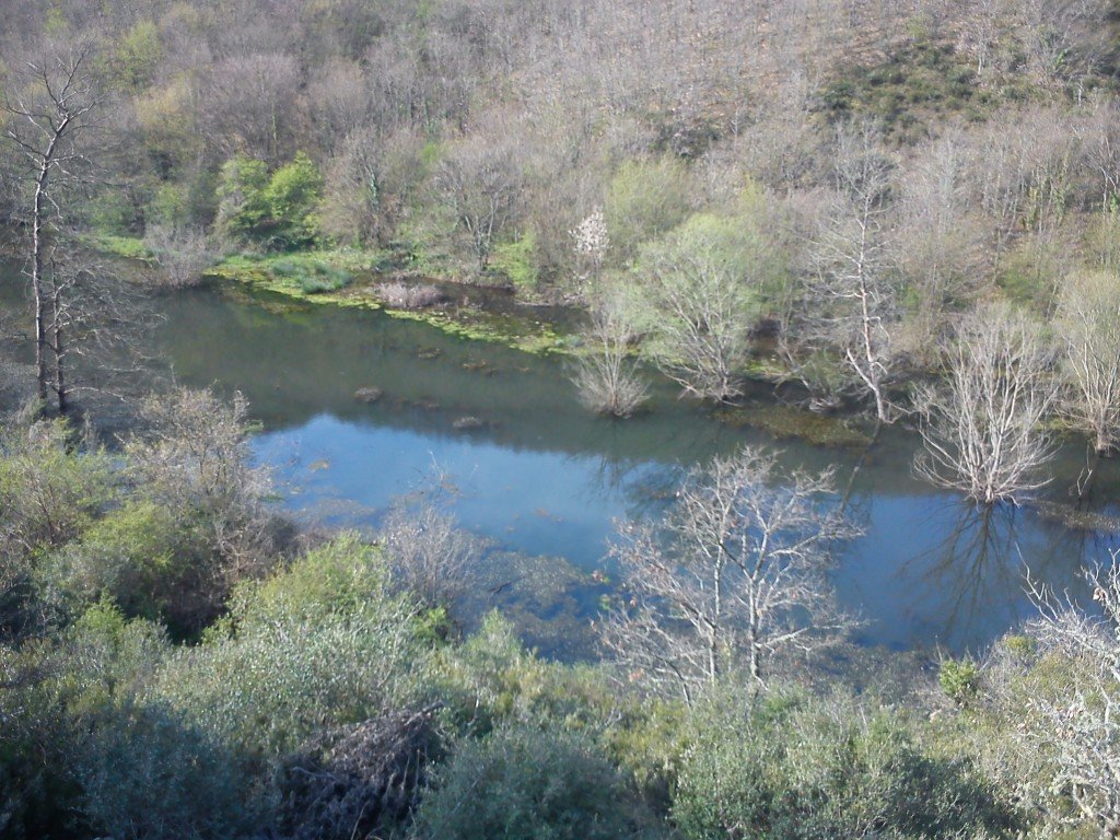 DSC00278.jpg