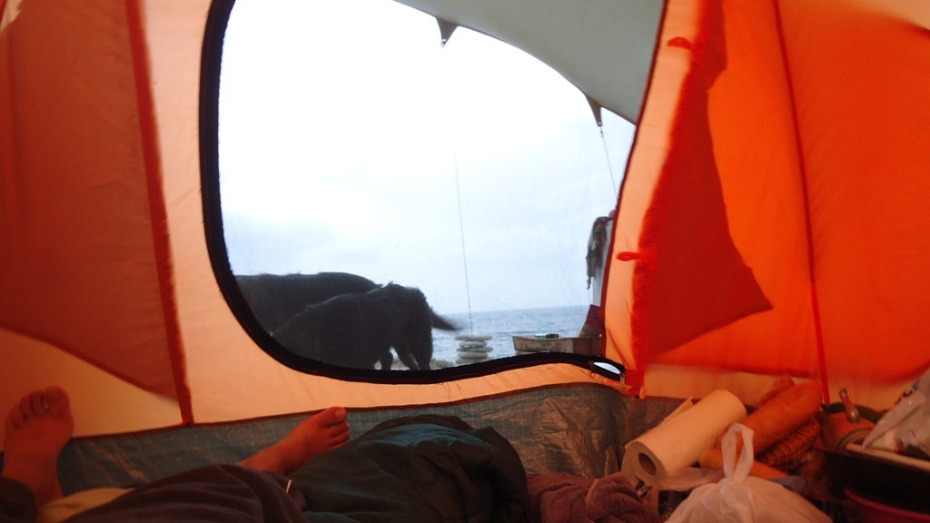 DSC00288.JPG