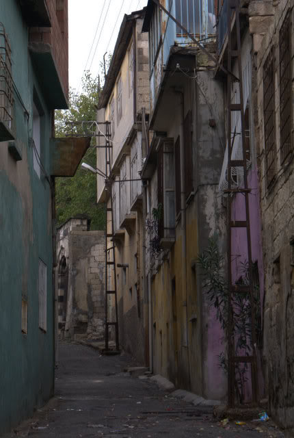 DSC00314.jpg
