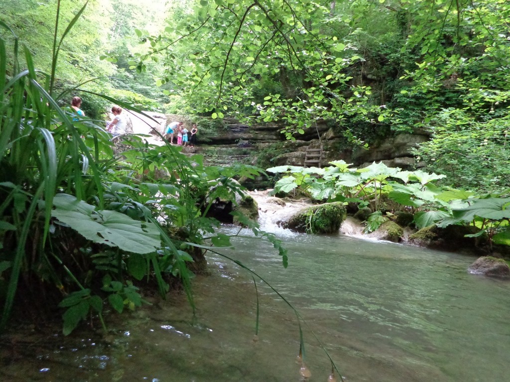 DSC00320.JPG