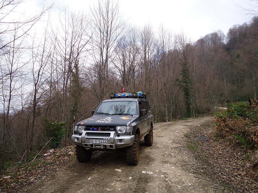 DSC00354.jpg