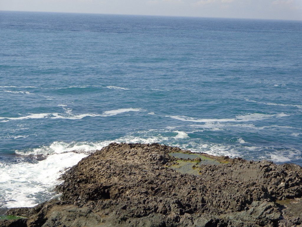 DSC00359.JPG