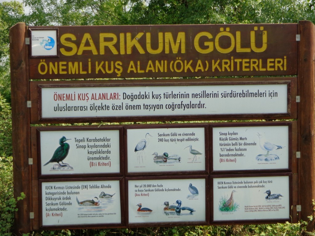 DSC00369.JPG