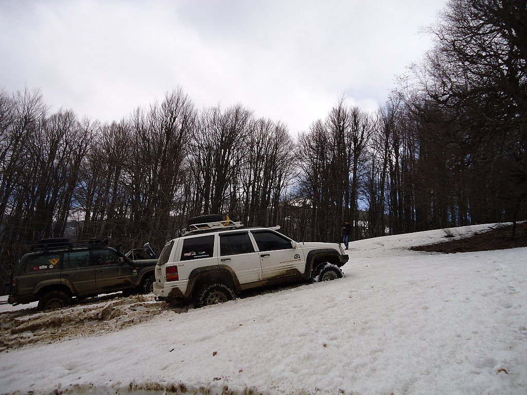 DSC00391.jpg