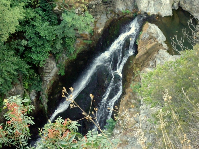 DSC00422.JPG