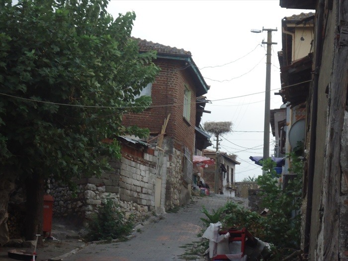 DSC00461.JPG