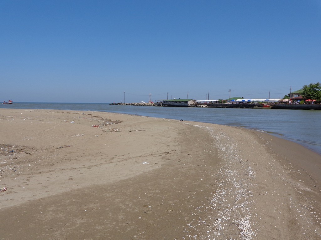 DSC00478.JPG
