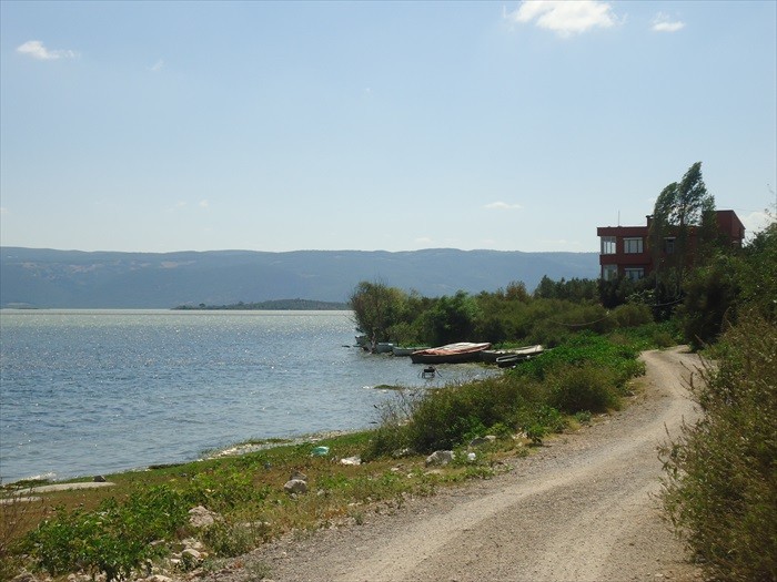 DSC00486.JPG