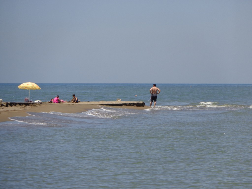 DSC00487.JPG