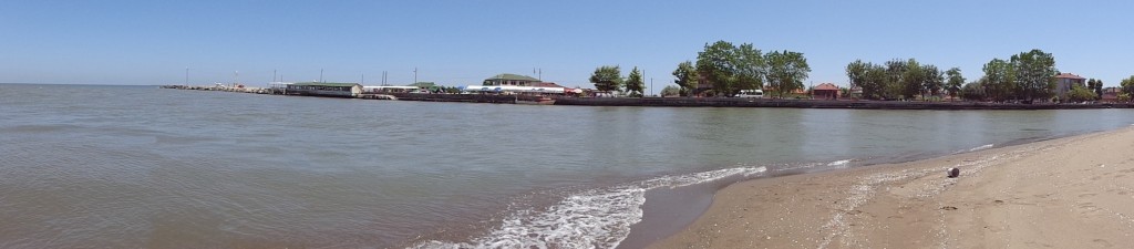 DSC00489.JPG