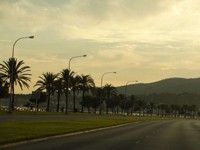 DSC00502.jpg