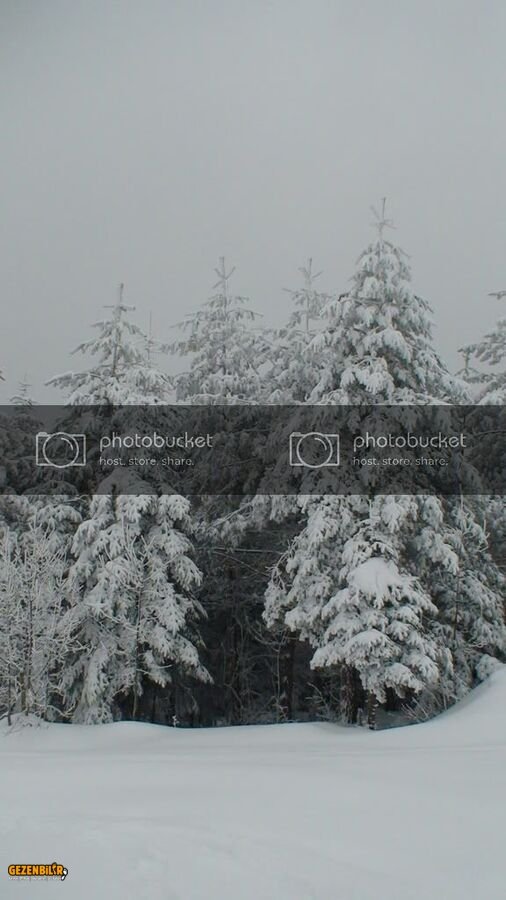 DSC00504.jpg