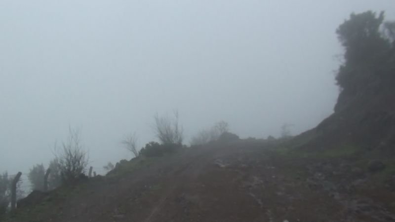 DSC00515.jpg