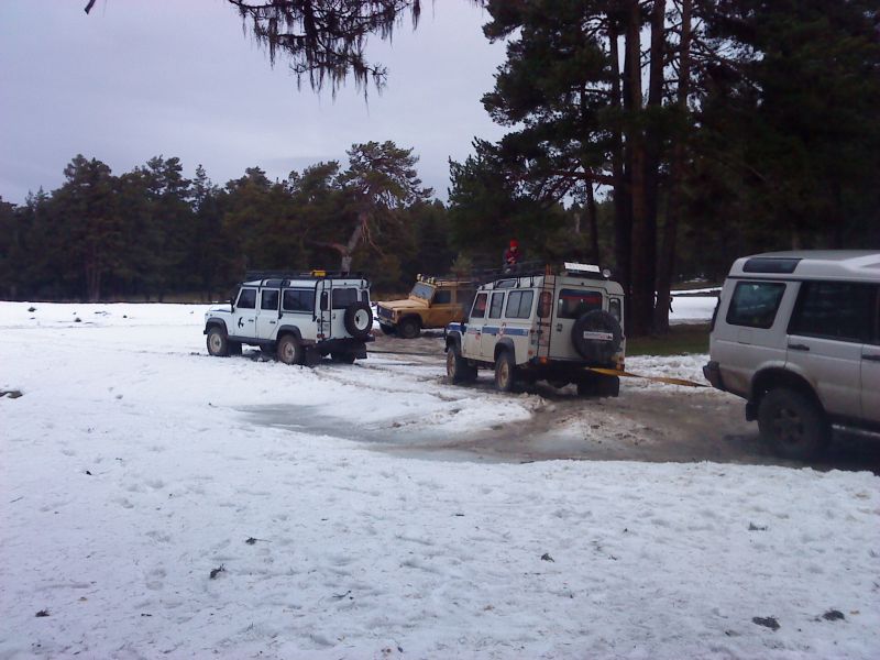 DSC00564.jpg