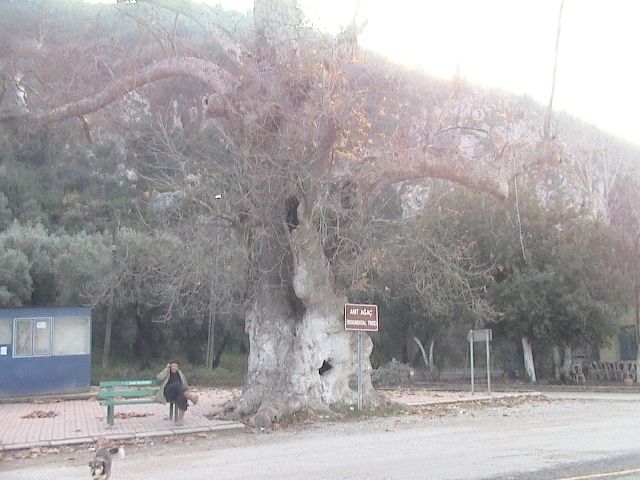 DSC00596.jpg