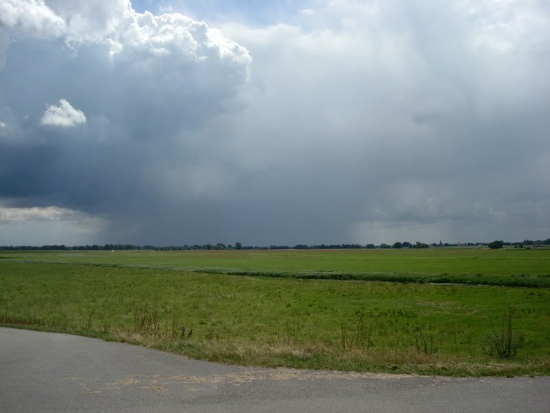 DSC00602_resize.jpg