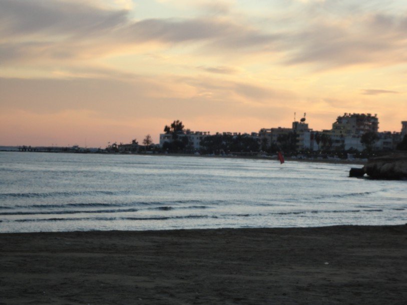 DSC00651.jpg