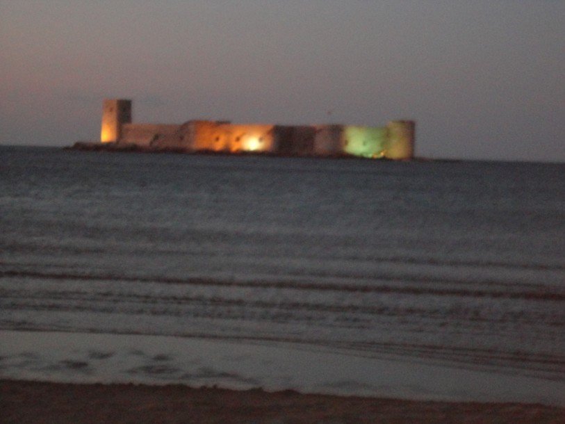 DSC00701.jpg