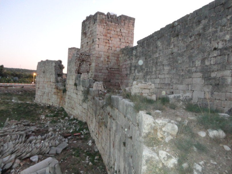 DSC00715.jpg