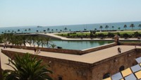 DSC00724.jpg