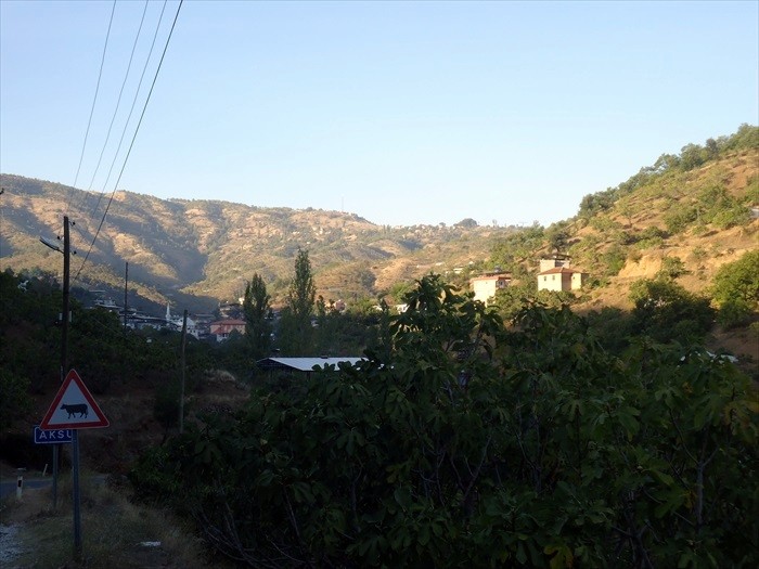 DSC00728.JPG