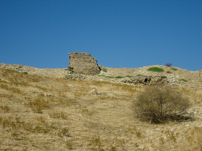 DSC00736.JPG