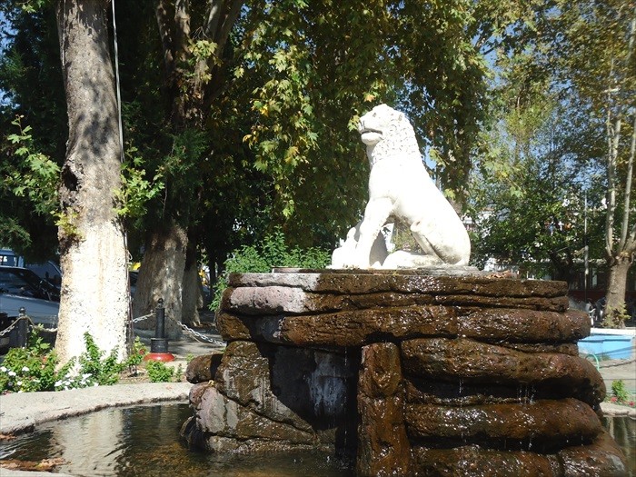 DSC00775.JPG