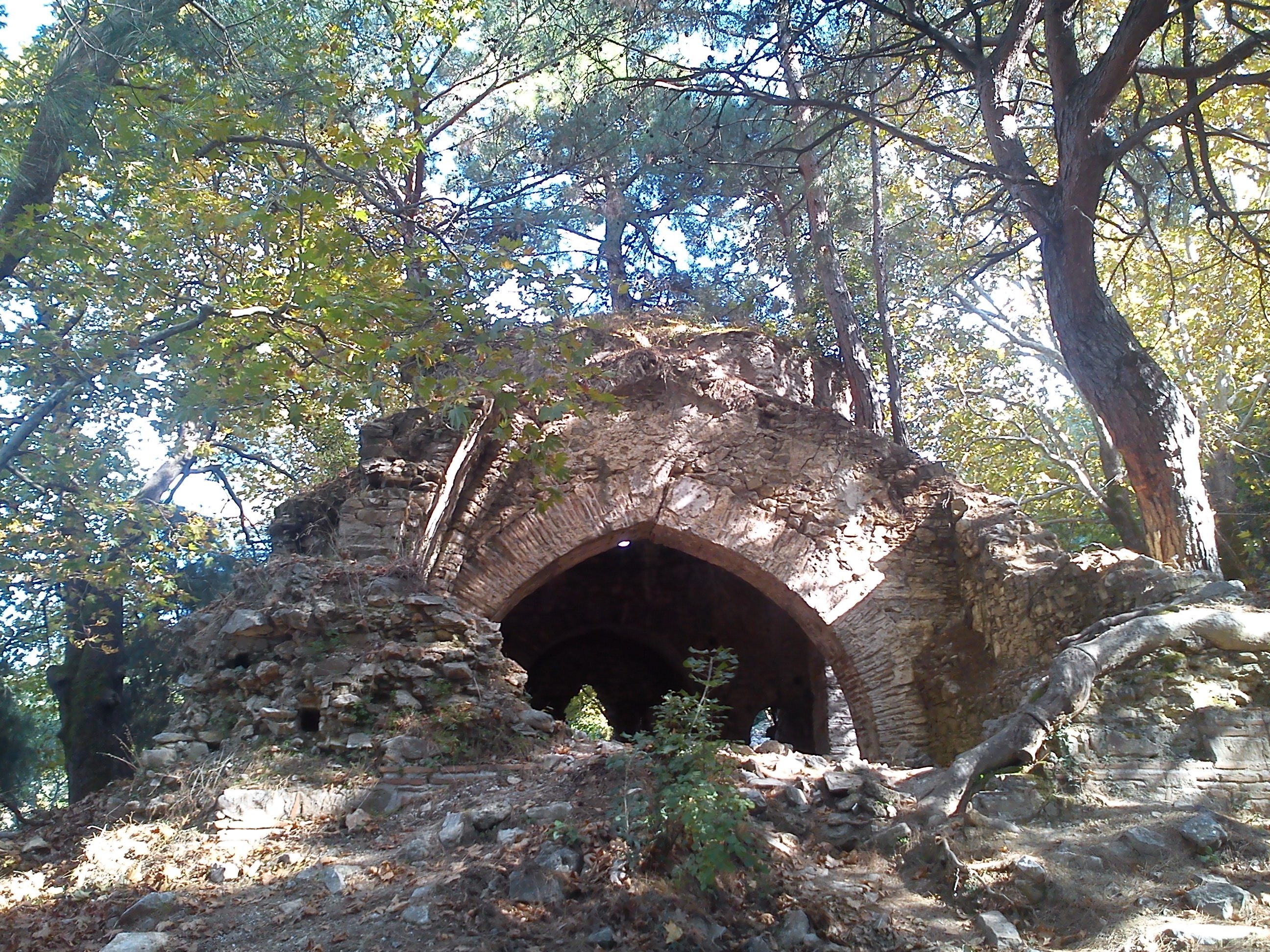 DSC00783.jpg