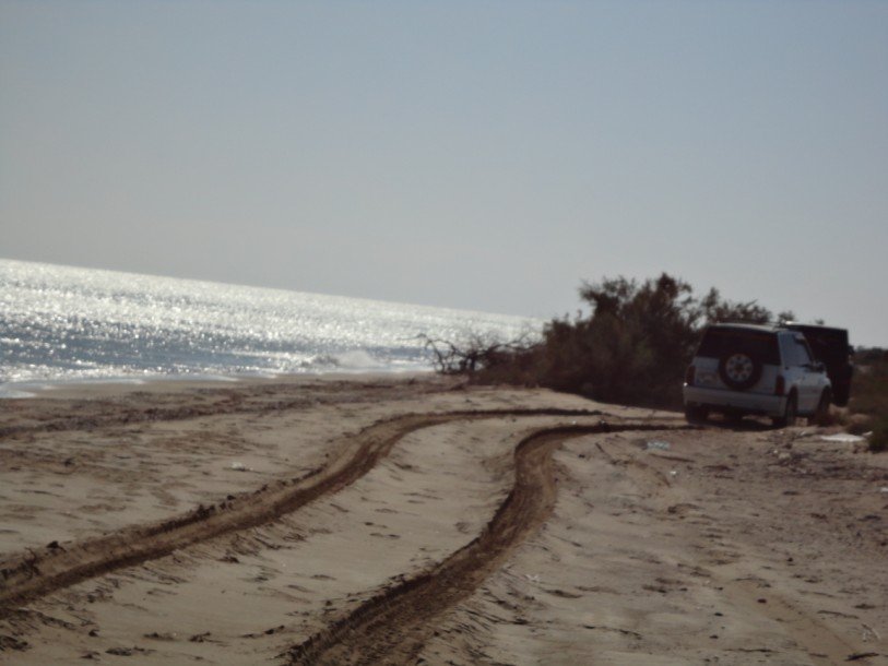 DSC00786.jpg