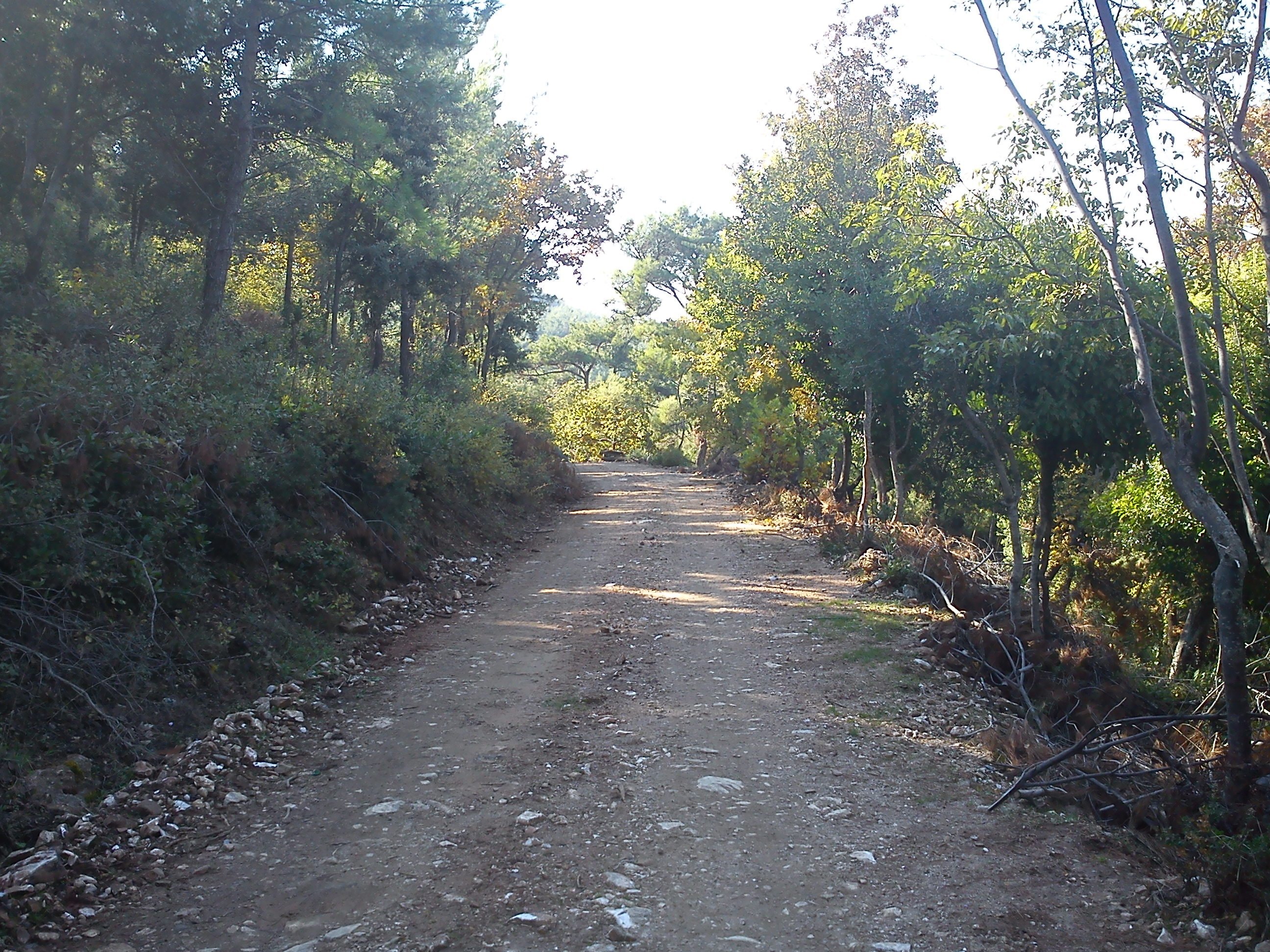 DSC00800.jpg