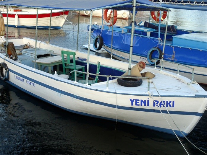 DSC00803.JPG
