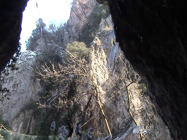 DSC00831.jpg