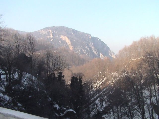 DSC00839.jpg